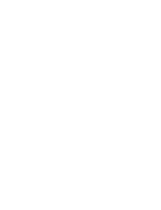 Vector